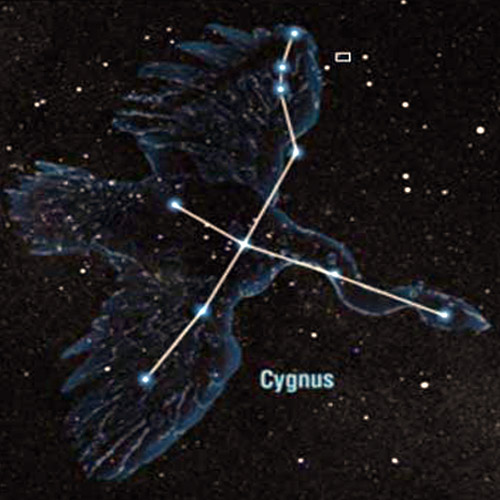 193-cygnus