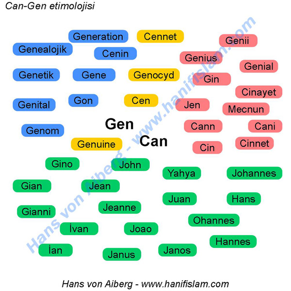 042-16-can-gen-etimolojisi