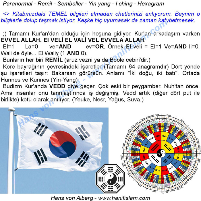 051-22-remil-yinyang-kore-bayragi-hexan