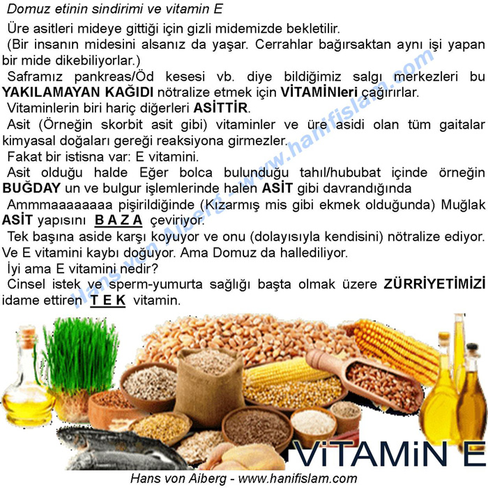 063-26-domuz-eti-nasil-hazmedilir-vitamin-e